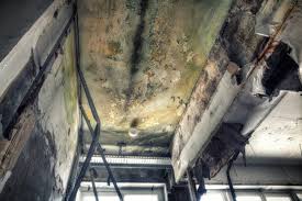 Best Mold Removal for HVAC Installations  in Westland, MI